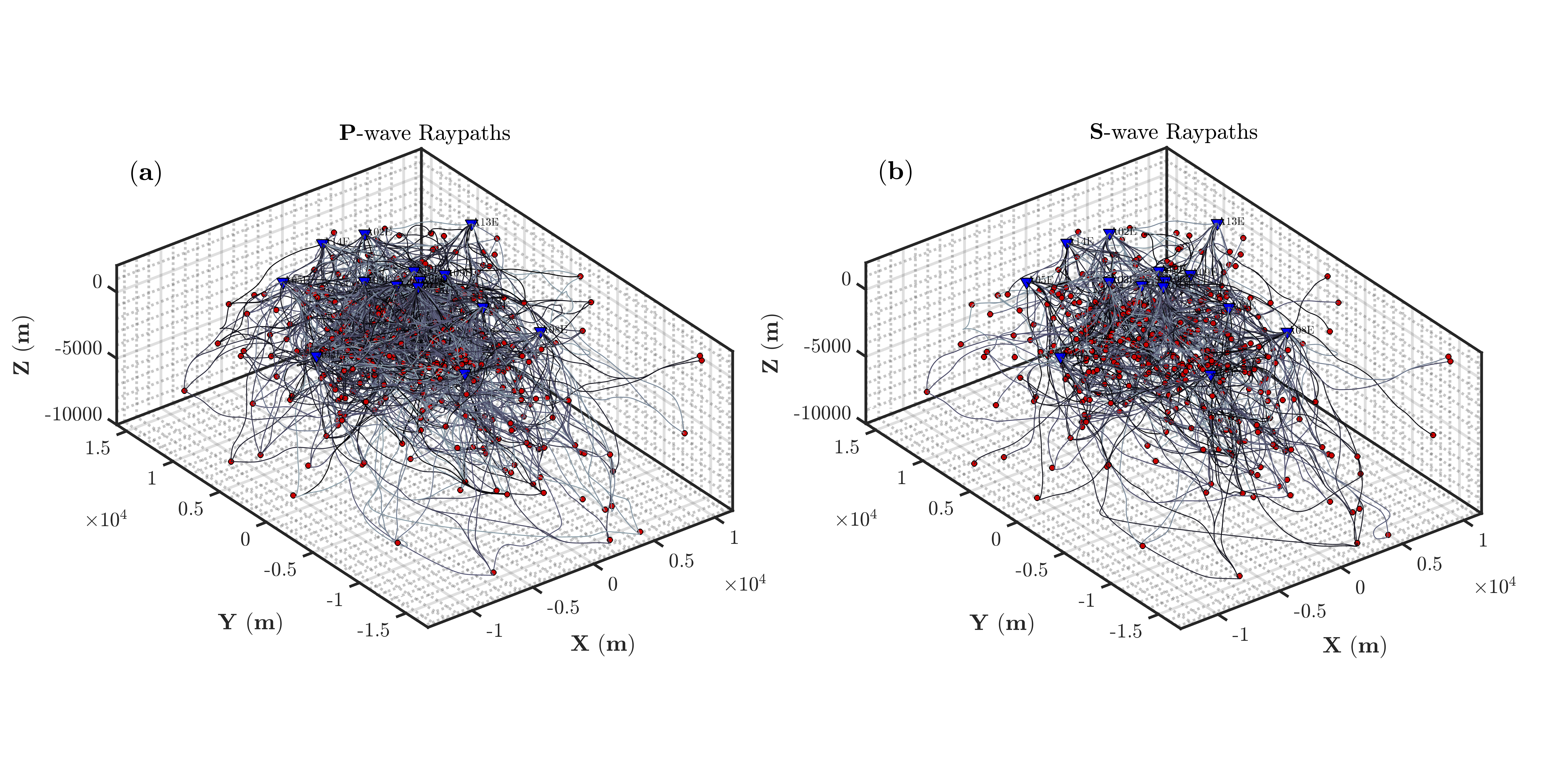P and S ray paths